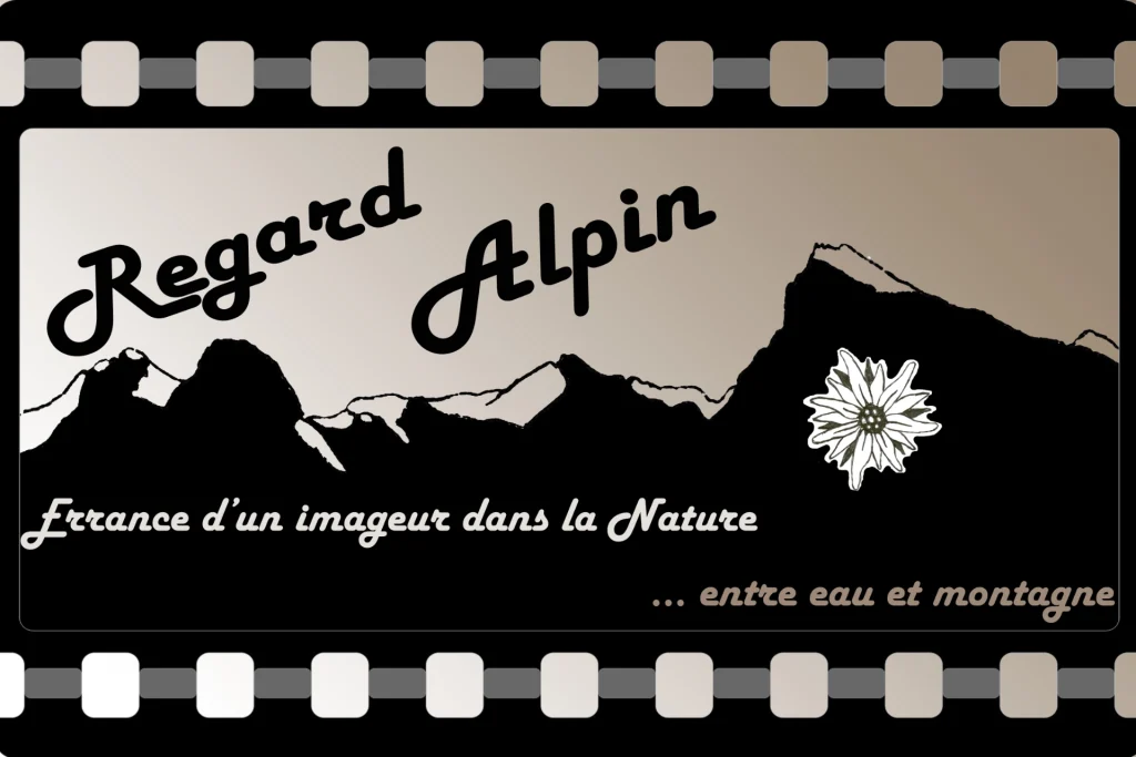 Regard Alpin logo 2024 rectangulaire