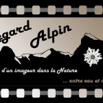 Le renouveau de Regard Alpin