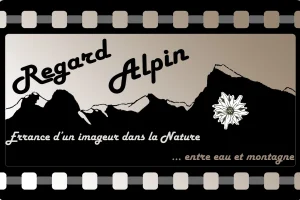 Regard Alpin logo 2024 rectangulaire