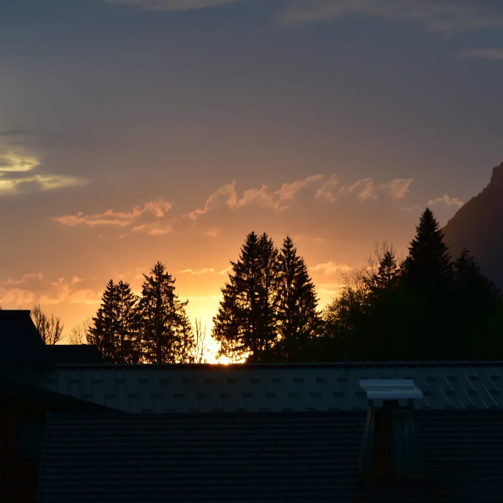 Couché de soleil en montagne mettant en ombre chinoise les sapin au 1er plan