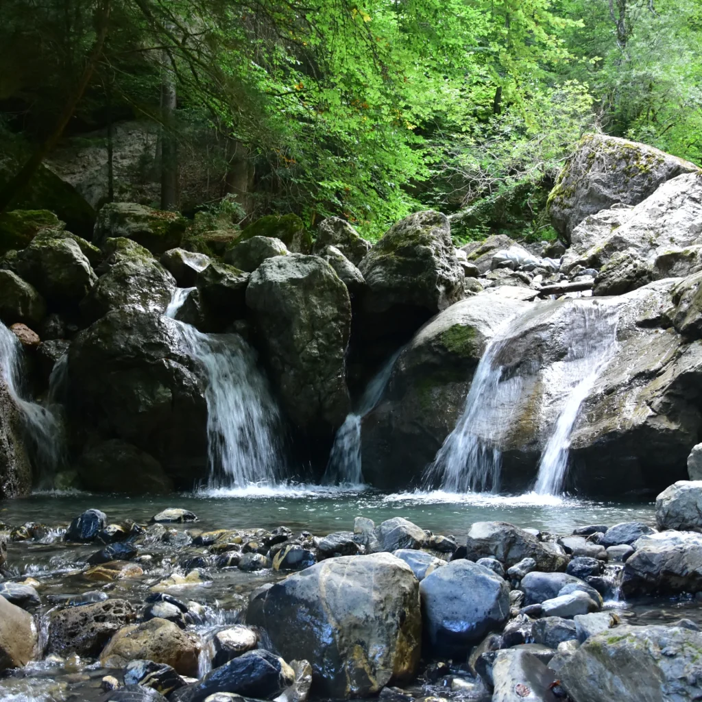 Une cuvette d'eau alimentée par de petites cascades dans un écrin de verdure