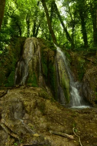 Le sentier du Châtaignier – Le 02/05/2026