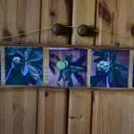 Histoire d&rsquo;une commande – Tableau de Passiflore