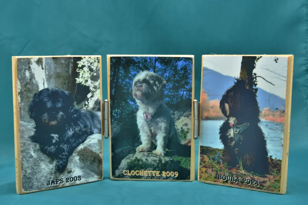Triptyque de 3 chiens