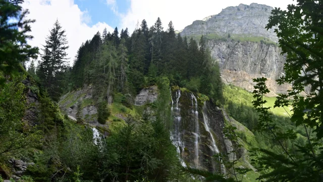 La cascade la Pleureuse dans leur écrin de verdure vue du chemin de montée