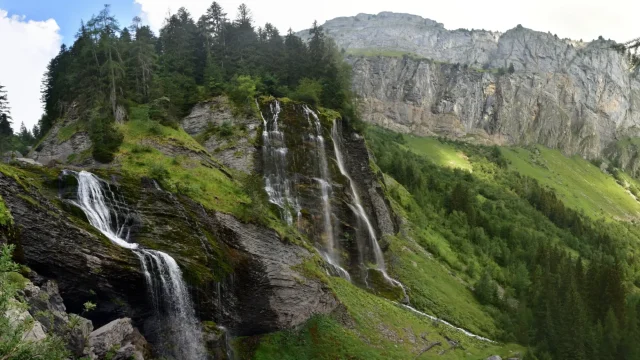 La cascade la Pleureuse dans leur écrin de verdure